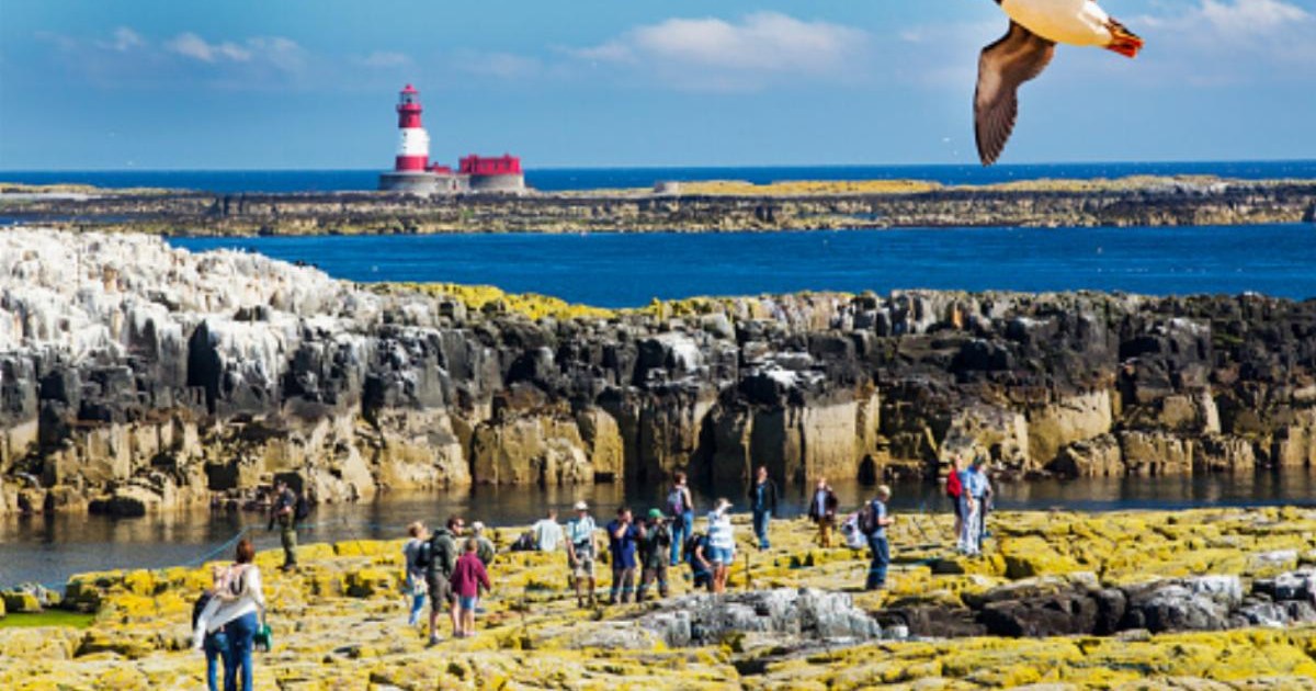 Englands best tourist experience is a 20 wildlife trip visitors are calling ‘paradise’ [Video]