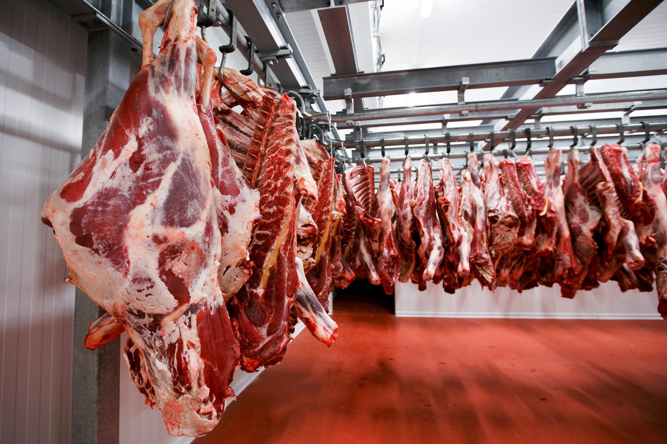 USDA invests in KS meat processing infrastructure [Video]