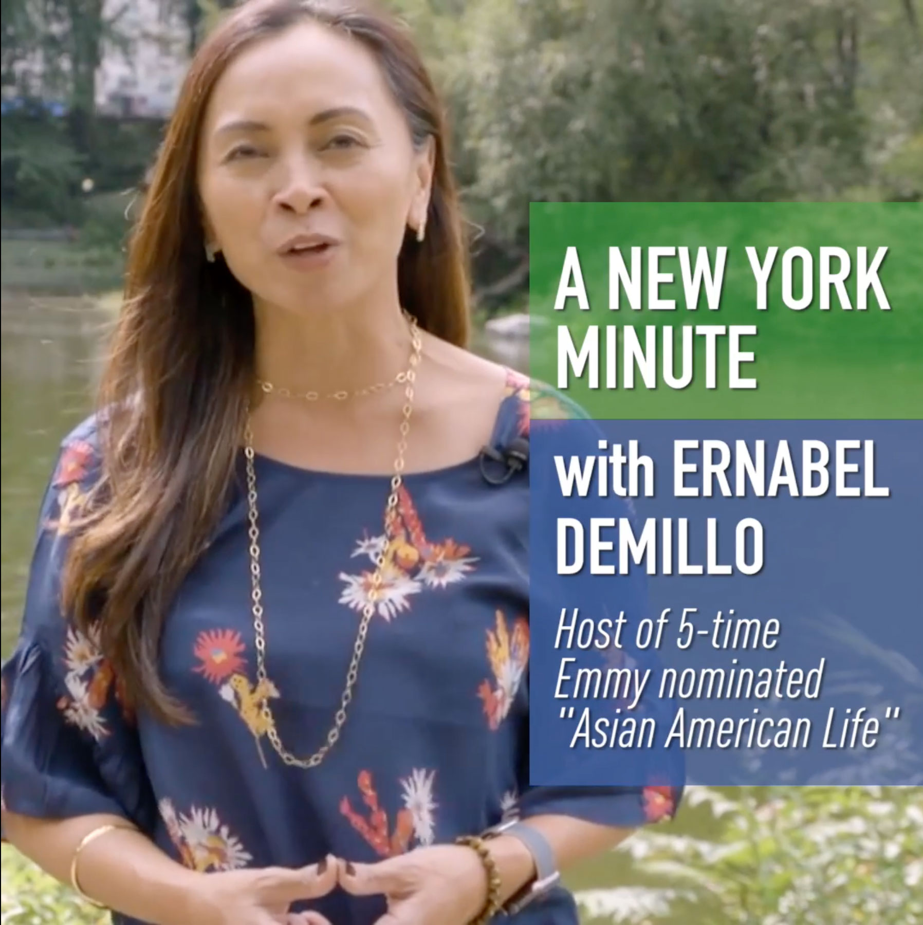 Ernabel Demillo shares what it takes to be an award-winning TV journalist in New York [Video]