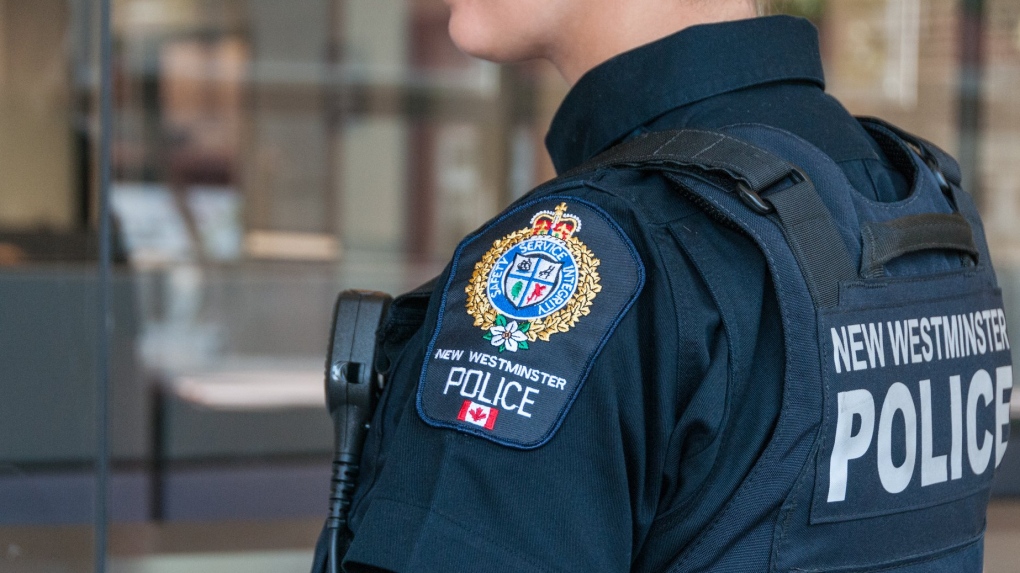 New Westminster police arrest suspected mail thief [Video]