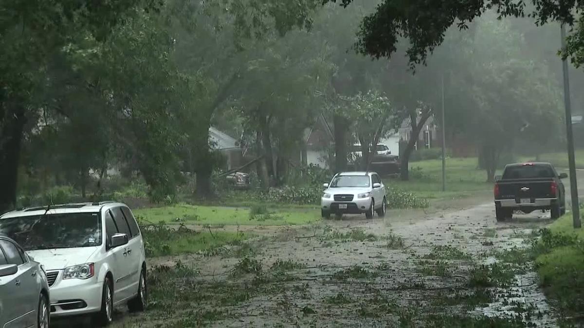 Hurricane Beryl disaster unemployment assistance available: How to apply [Video]