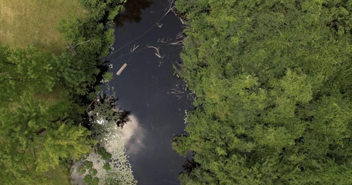 Sewage Spills into Waterways in Jackson [Video]