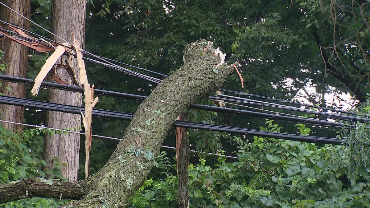 Trees, power lines down in storm-ravaged Chester County; residents await power restoration [Video]