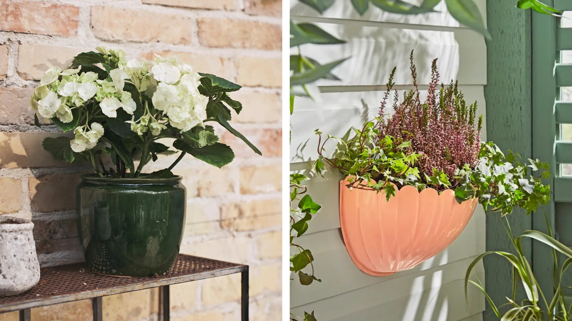 The 7 perfect planters that brighten up your garden instantly – including the 5 B&M pot that’s flying off shelves [Video]