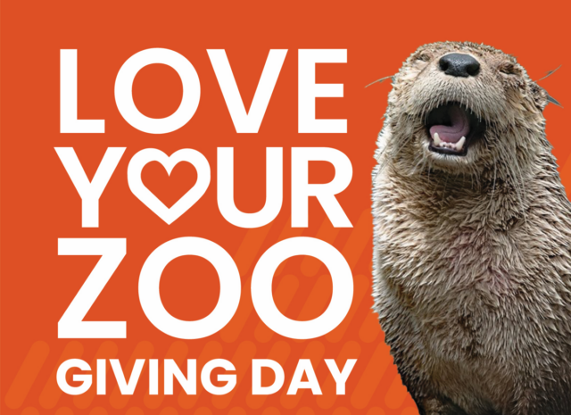 Topeka Zoo to Celebrate Giving Day [Video]