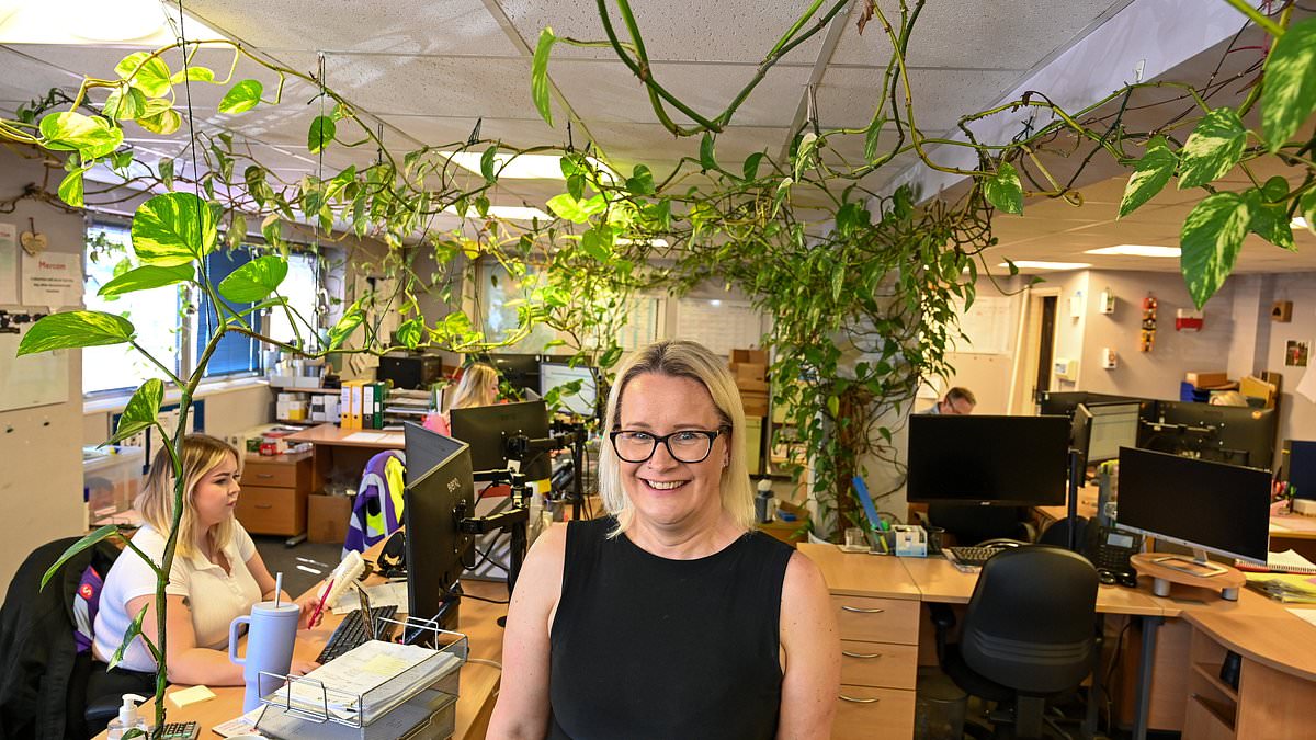 Ivy that was potted 15 years ago grow into a 300ft monster spanning walls and ceilings – despite being cut back [Video]