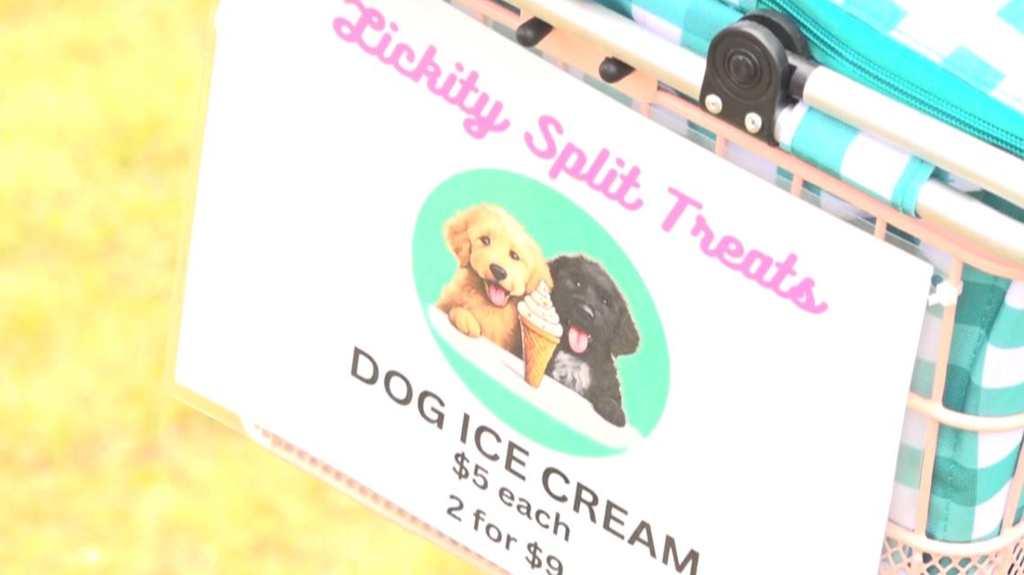 Maine woman launches mobile doggie ice cream business [Video]