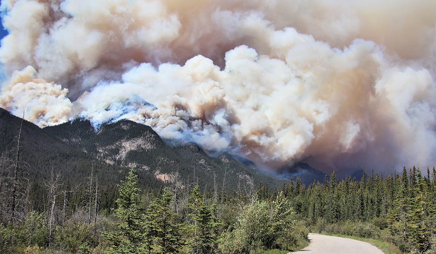 Wildfire Burning Historic Mountain Town of Jasper [Video]