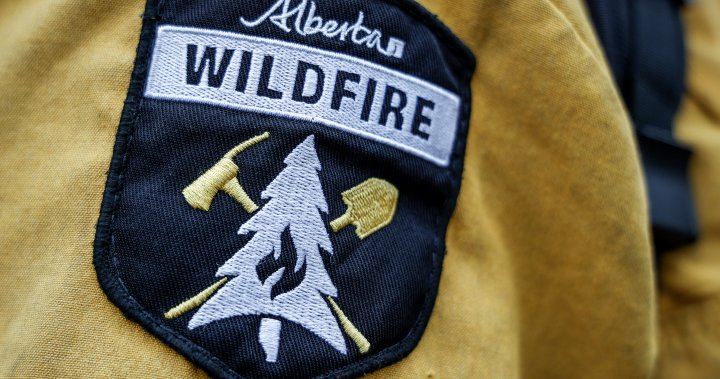 Jasper wildfire: How to navigate filing insurance claims [Video]