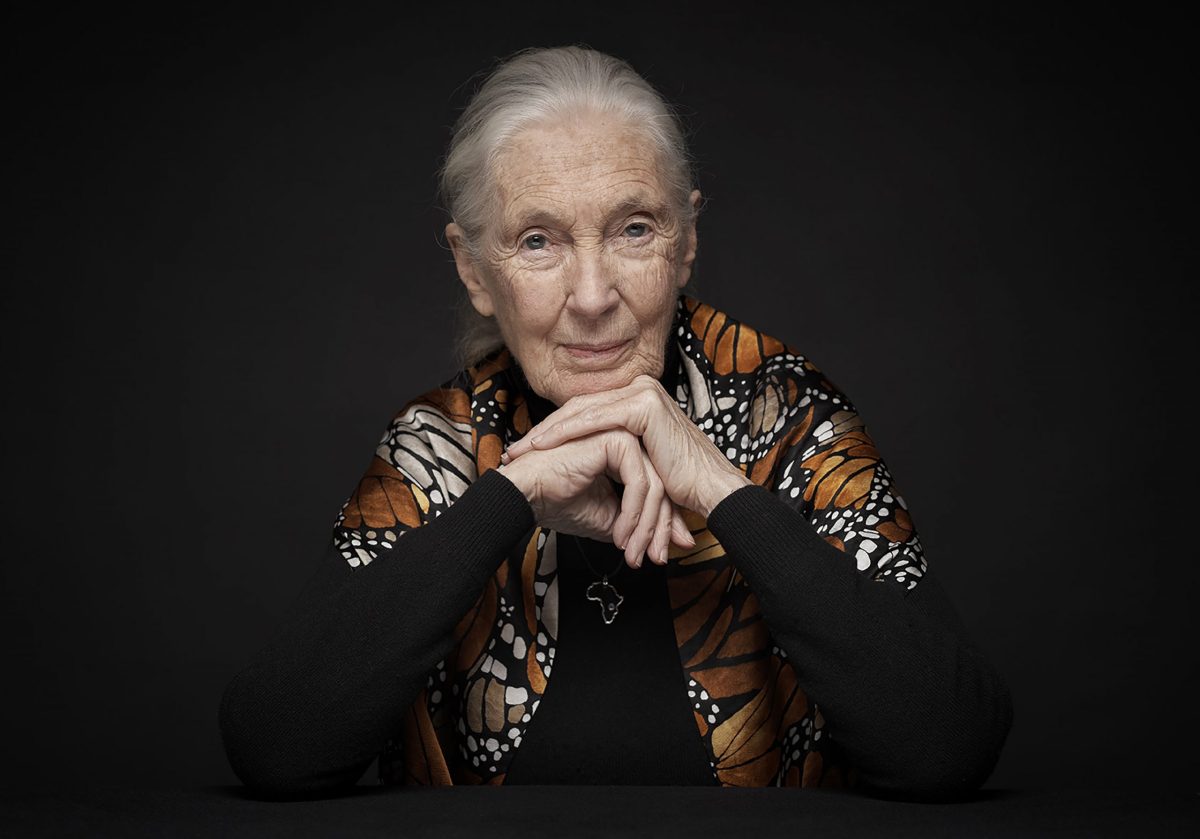 Jane Goodall booked for PARO Centre’s virtual festival celebrating Women Leaders | News | Speakers [Video]