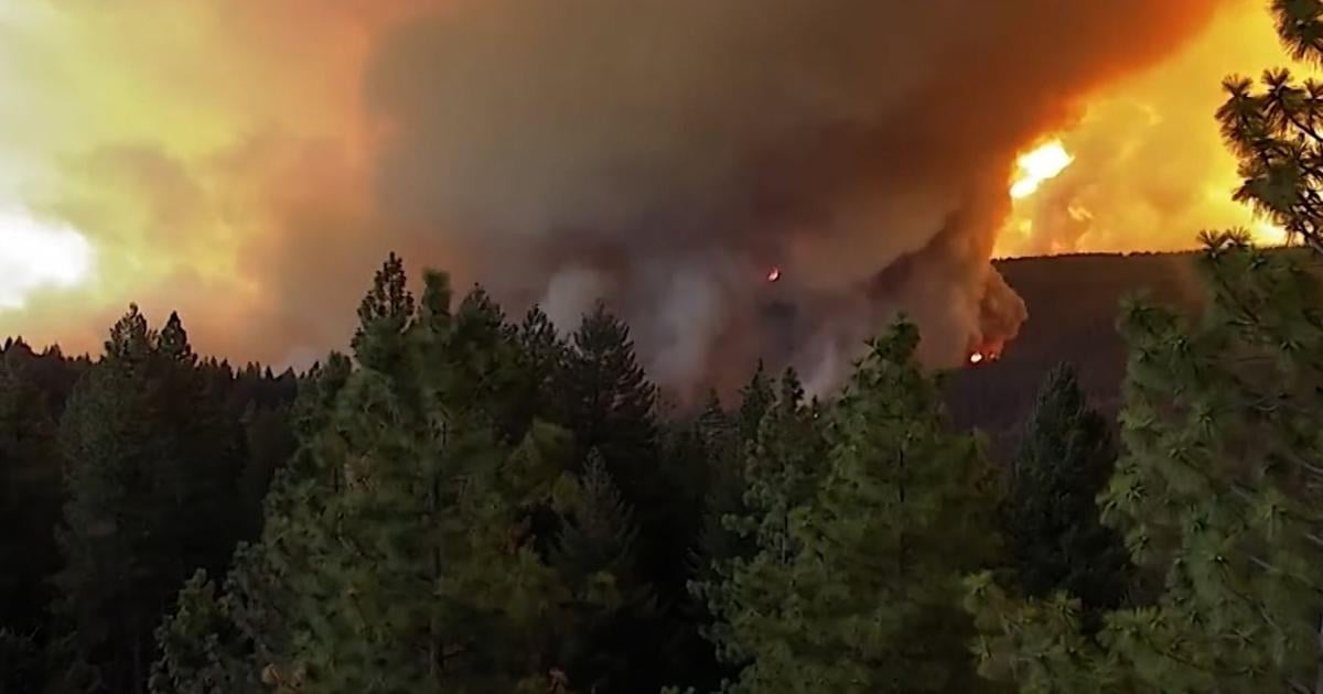 Californias Park Fire destroys buildings and forces thousands to flee as a fast-moving fire ravages Canadian tourist town | National [Video]