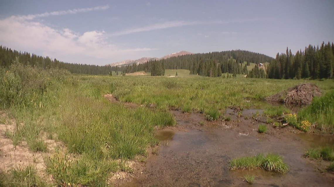 A kit helps hide Colorado’s dirty little secret [Video]