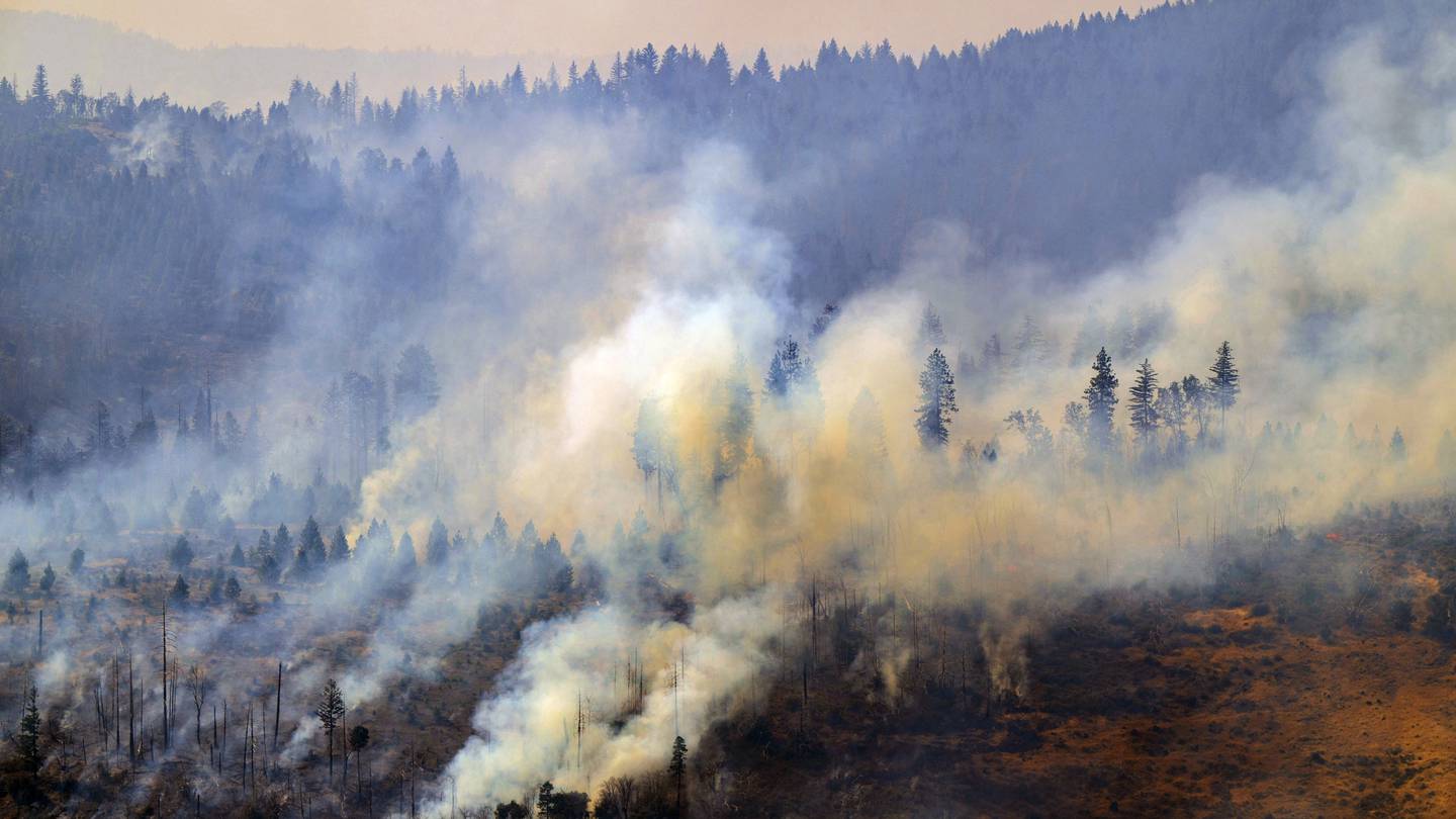 California man defends his home as wildfires push devastation and spread smoke across US West  WSOC TV [Video]