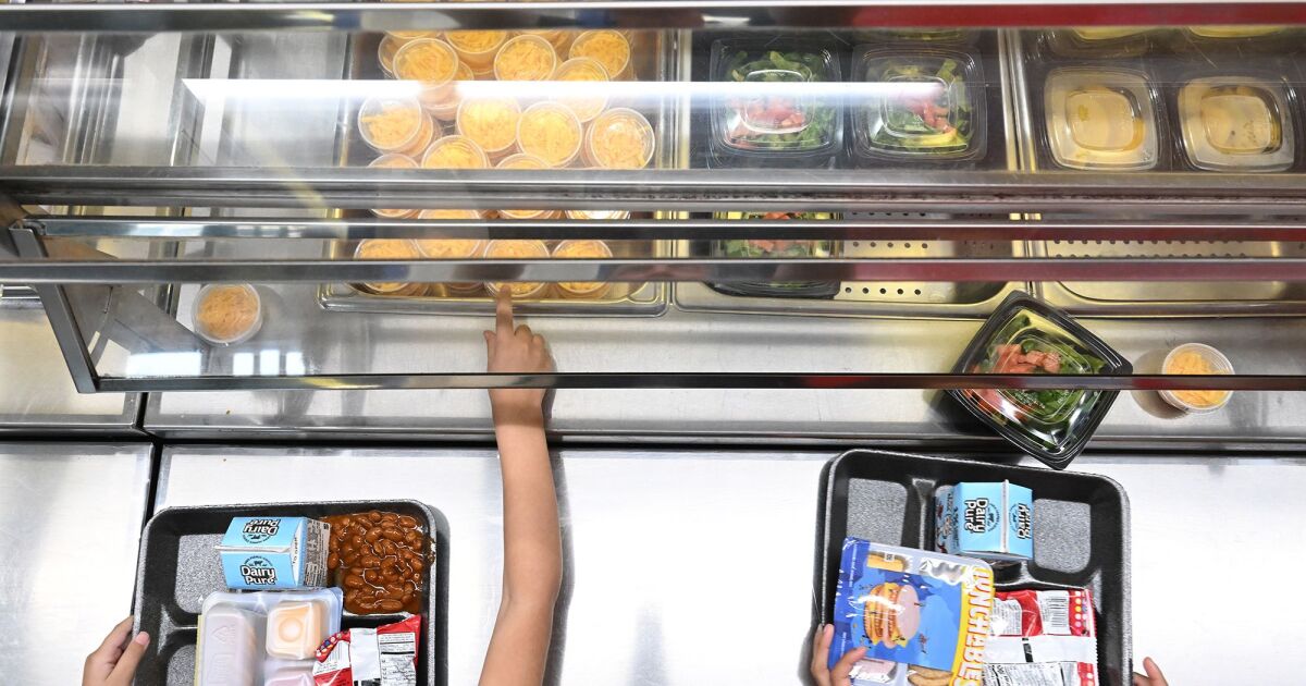 Agency calls out junk fees parents pay for online school lunch accounts [Video]