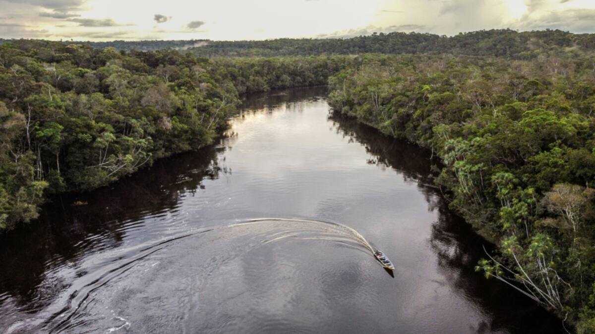 Carbon credits ‘ineffective’, says corporate climate watchdog [Video]