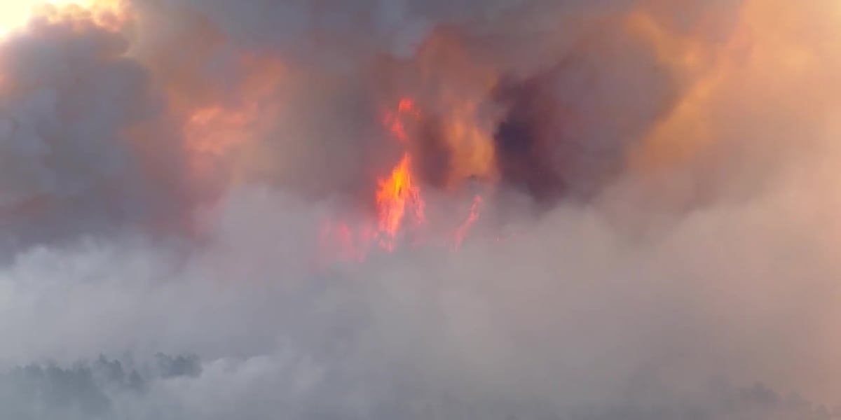 US battling almost 100 large wildfires [Video]