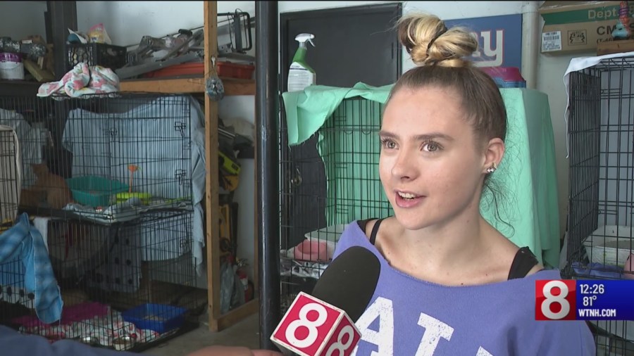 Coventry teen helping cats find homes [Video]