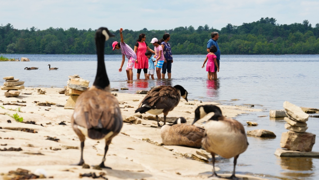 Ottawa weather: Heat warning issued for Ottawa [Video]