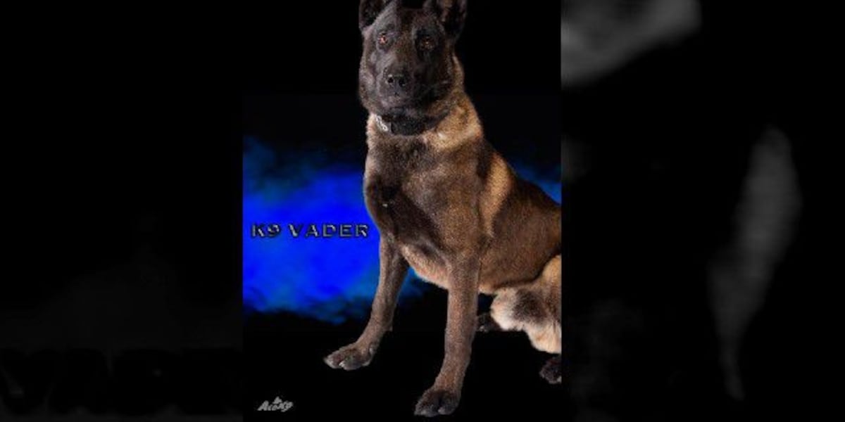 Arnold Police Department mourns death of K-9 Vader [Video]