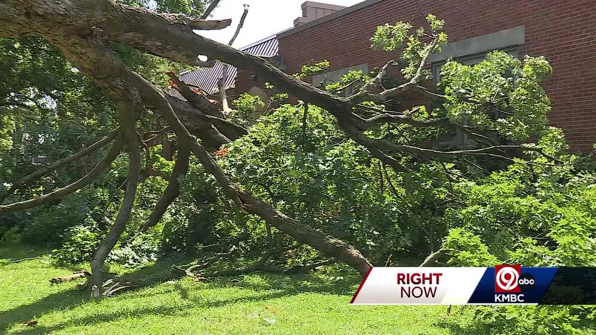 Eudora hit hard by overnight storms [Video]