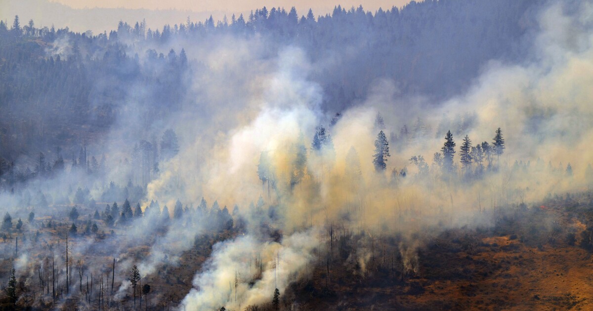 California man defends his home as wildfires spread smoke across US West [Video]