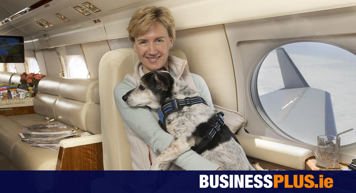 Pampered pooches set to take to the skies with K9 Jets [Video]