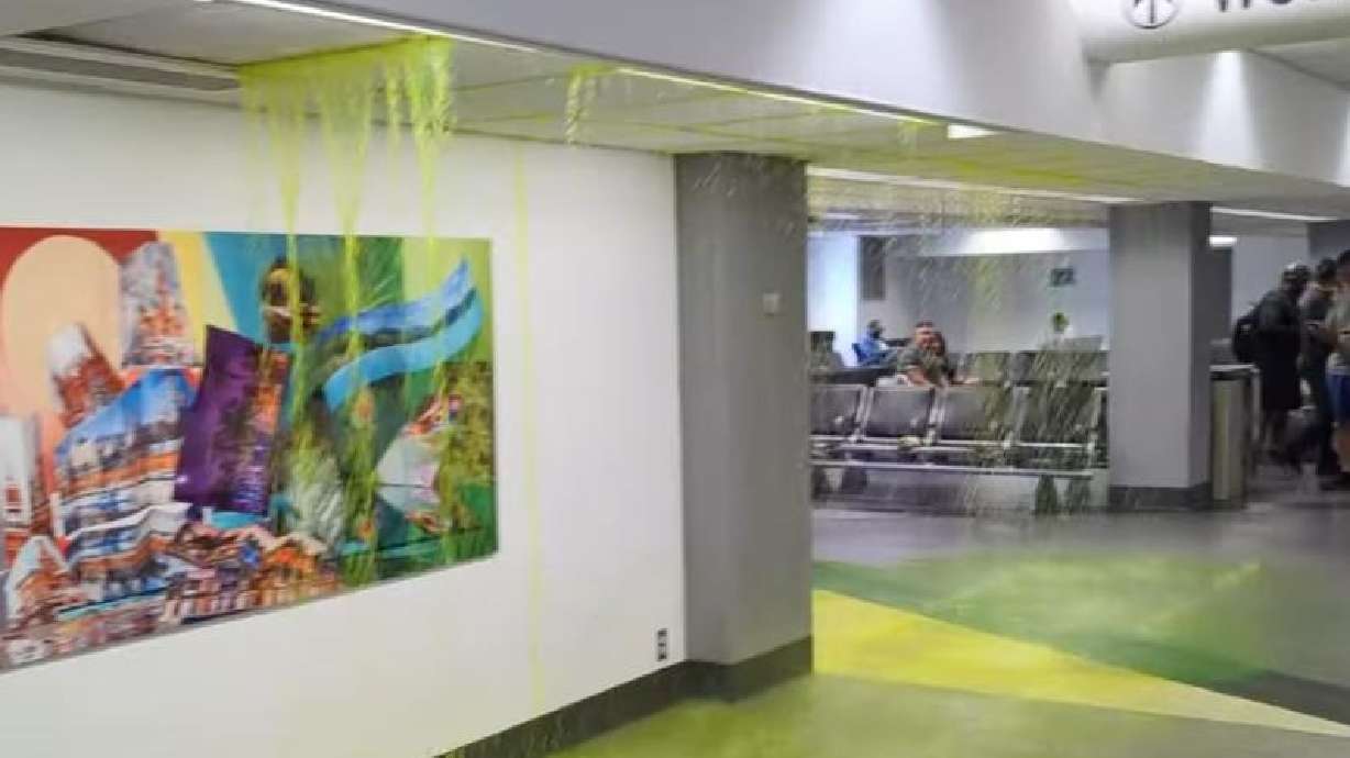 Have You Seen This? Miami airport gets slimed [Video]