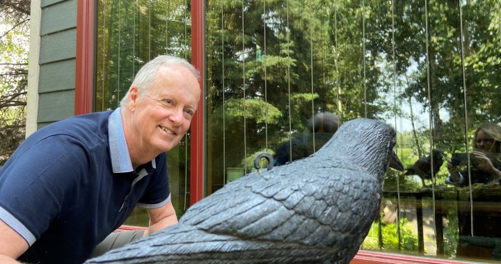 It was killing me: Calgary naturalist stops bird collisions on his windows with zen curtains [Video]