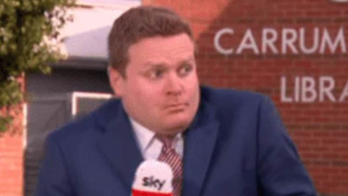 Sky News political reporter Simon Love interrupted by swooping bird during live cross [Video]