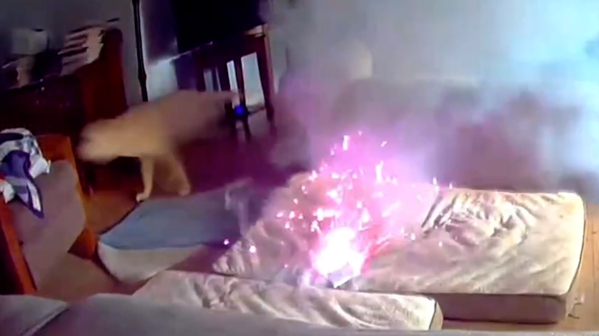 Dog sets Tulsa house on fire after chewing on lithium-ion battery  NBC4 Washington [Video]