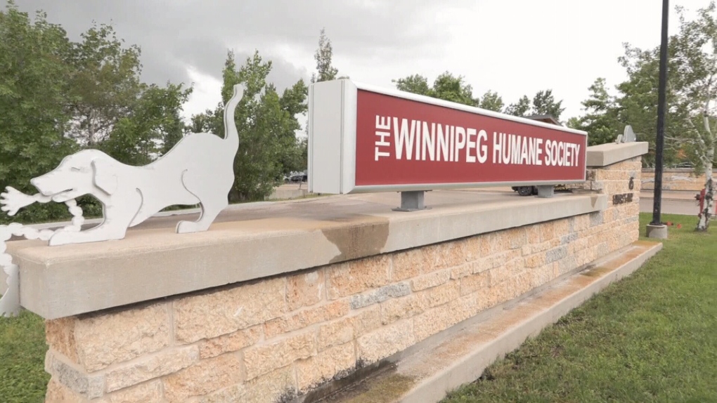 Manitoba news: Over 130 dogs removed from Manitoba home [Video]