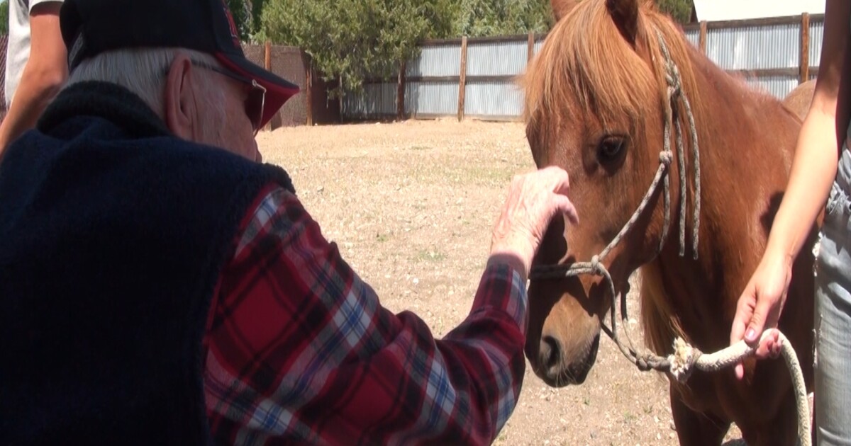 Cody women bring power of horse healing to assisted living centers [Video]