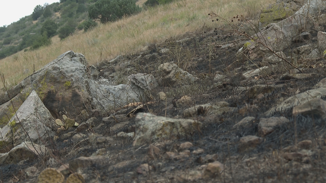 What goes into finding the cause of a wildfire? [Video]