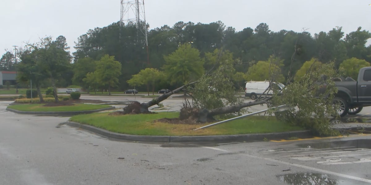 Berkeley Co. urges residents to report storm damage [Video]