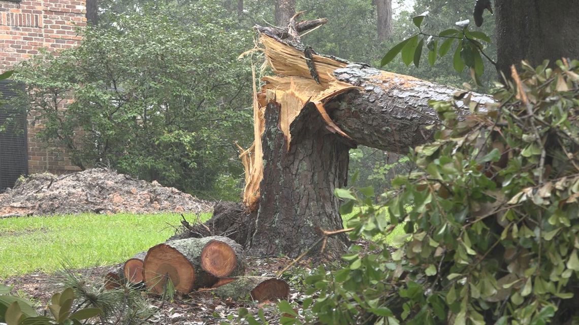 Your property was damaged during Tropical Storm Debby. Now what? [Video]