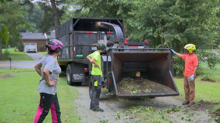 Local tree removal companies busy after week of tropical weather [Video]