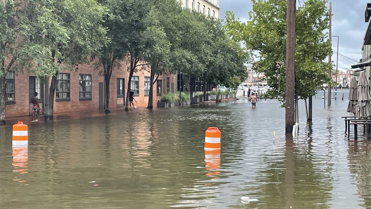 Flooding observed from Debby’s heavy rainfall [Video]