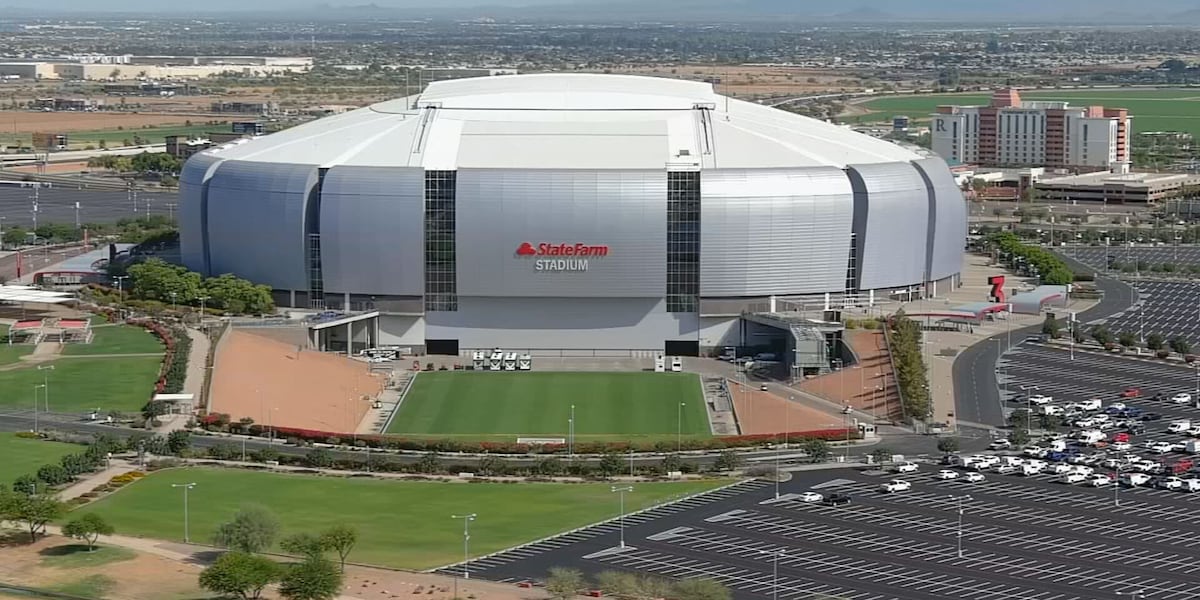 Fans and Glendale businesses excited for Arizona Cardinals season to start [Video]