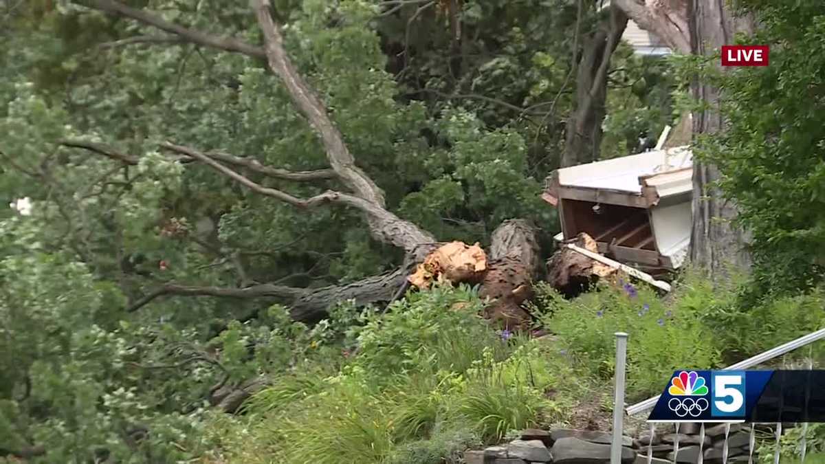 Down trees and power lines leave thousands without power from Debby [Video]