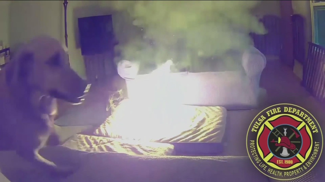 Dog starts Oklahoma house fire by chewing on lithium-ion battery [Video]