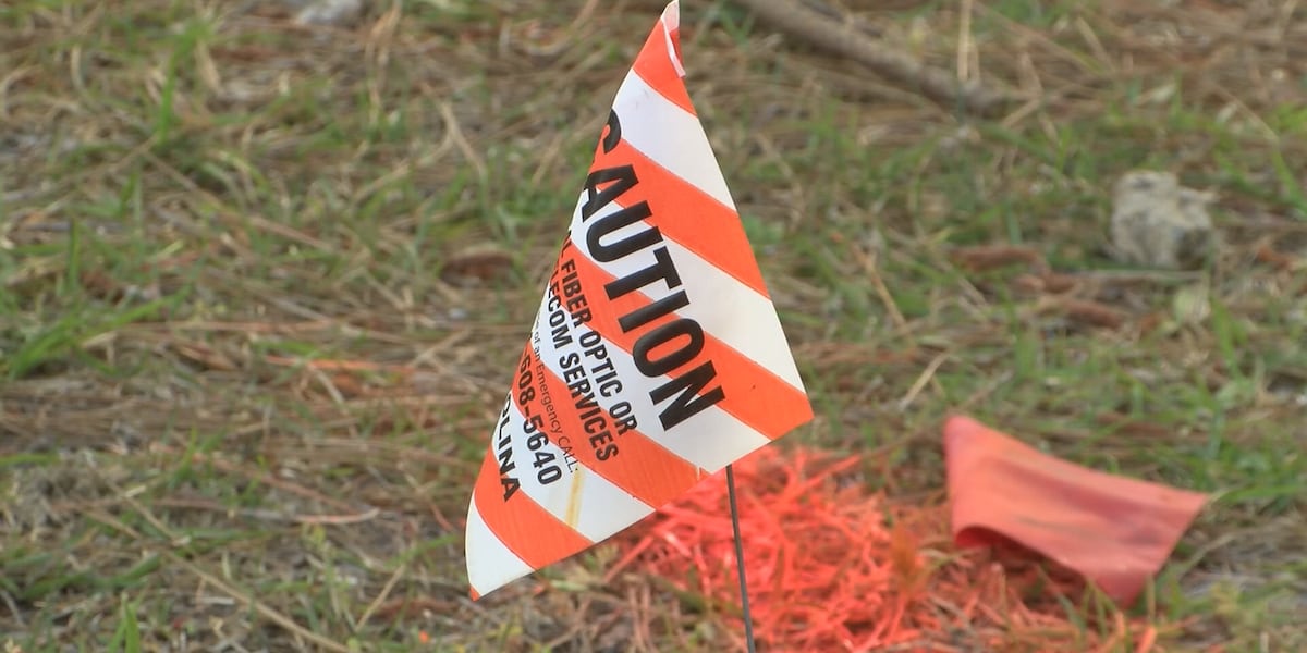 Metro area residents, contractors urged to call 811 before dig projects begin [Video]