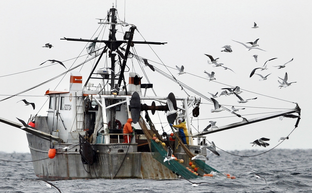 Gulf of Maine lobsters are experiencing a housing crisis [Video]