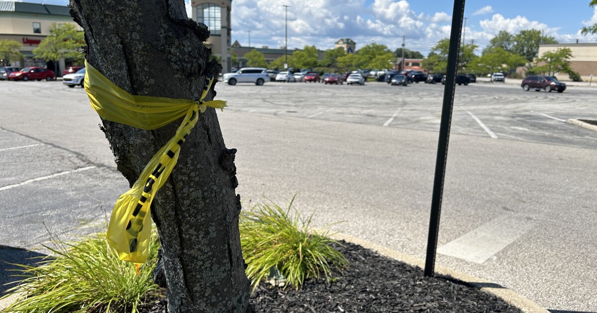 4 hurt in 2nd shootout in same Cleveland community in 1 week [Video]