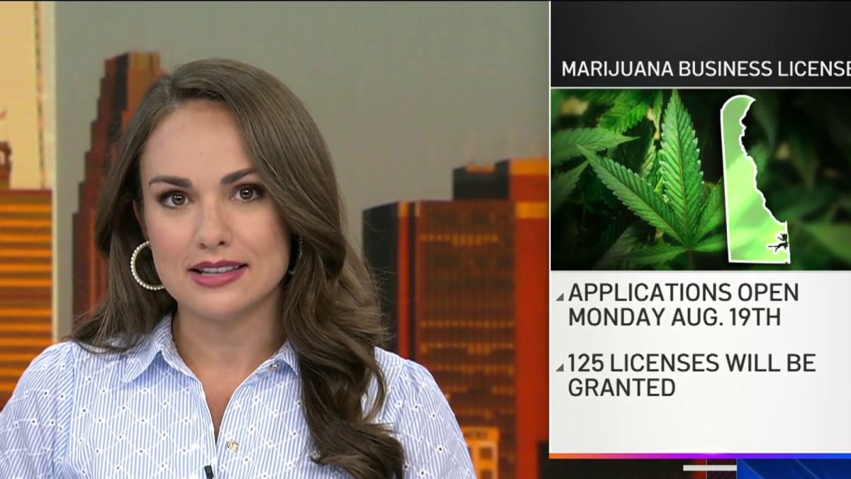 Delaware to accept applications for marijuana businesses  NBC10 Philadelphia [Video]