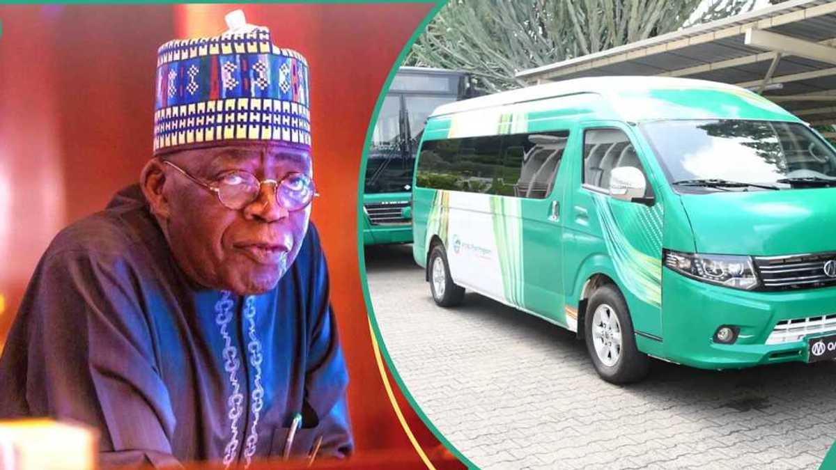 This Will Go a Long Way: FG Shares Observation After Buying More CNG Buses From Nigerian Company [Video]