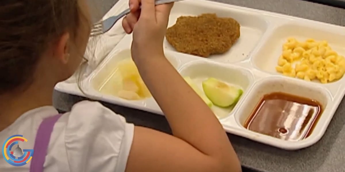 Consumer watchdog puts school lunch junk fees in the spotlight [Video]