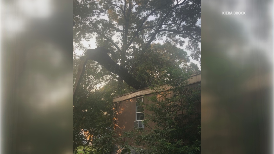 Macon family needs help after tree falls through home [Video]