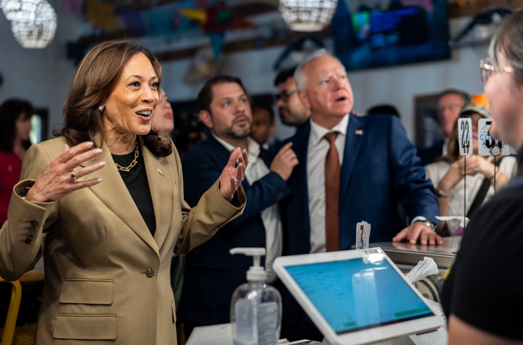 Kamala Harris is among 1 in 8 Americans who have worked at McDonalds [Video]