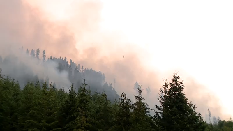 Road 2620 Fire near Hood Canal, WA prompts statewide mobilization [Video]