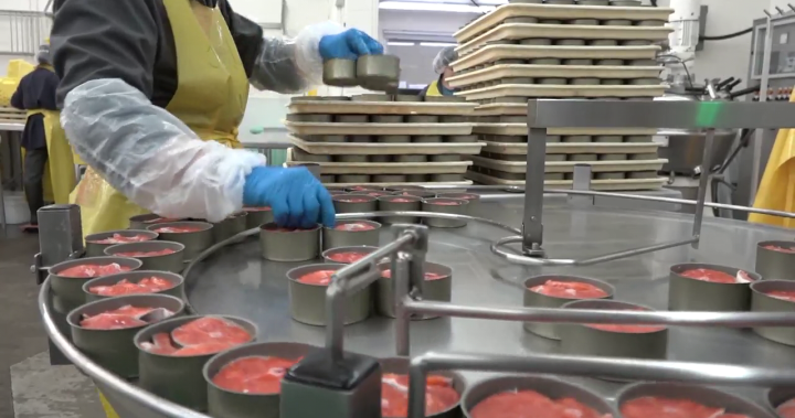 A taste like nothing else: Indigenous-owned cannery is last on B.C.s coast – BC [Video]